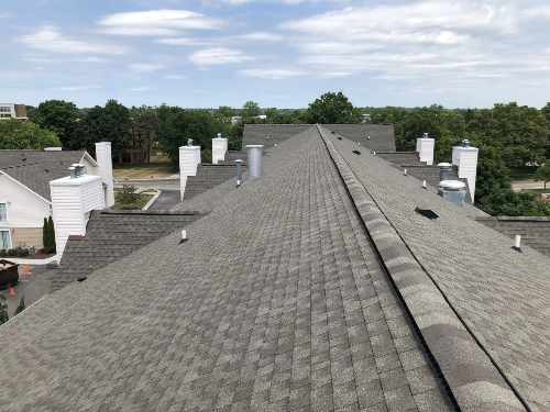 DIY vs. Professional Roof Repairs: What You Need to Know