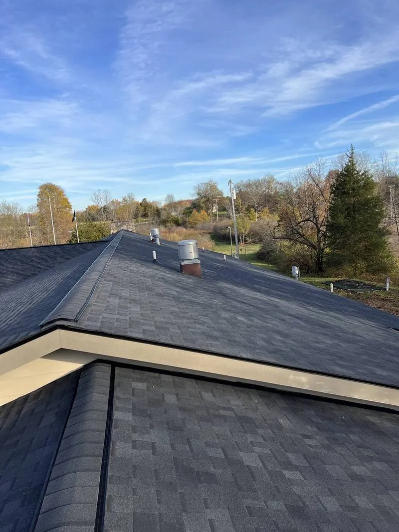New shingles, drip edge and gutter line at the eave