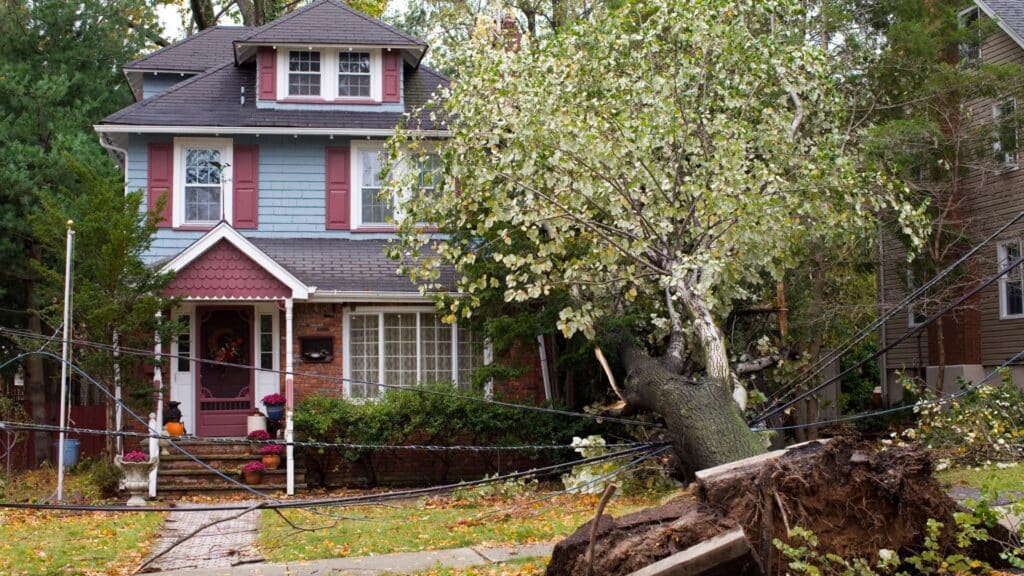 A large tree has fallen onto power lines and a house