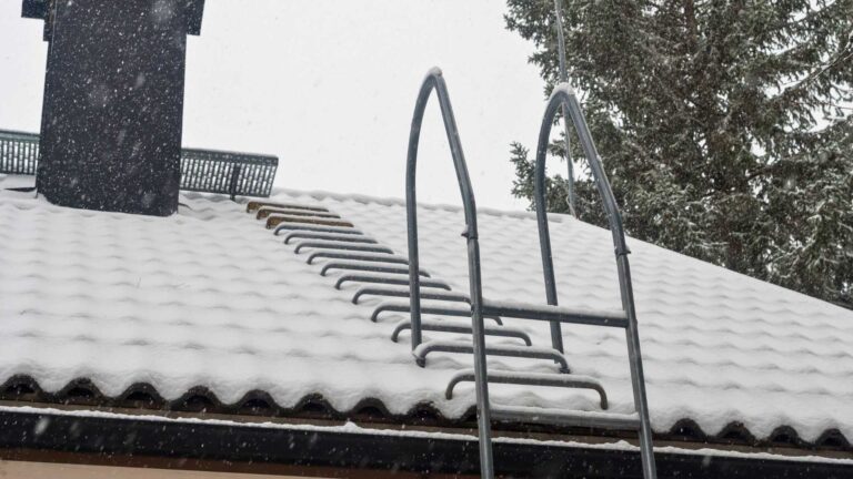 A metal ladder is fixed to a snow-covered roof, with a chimney and trees visible in the background during snowfall.