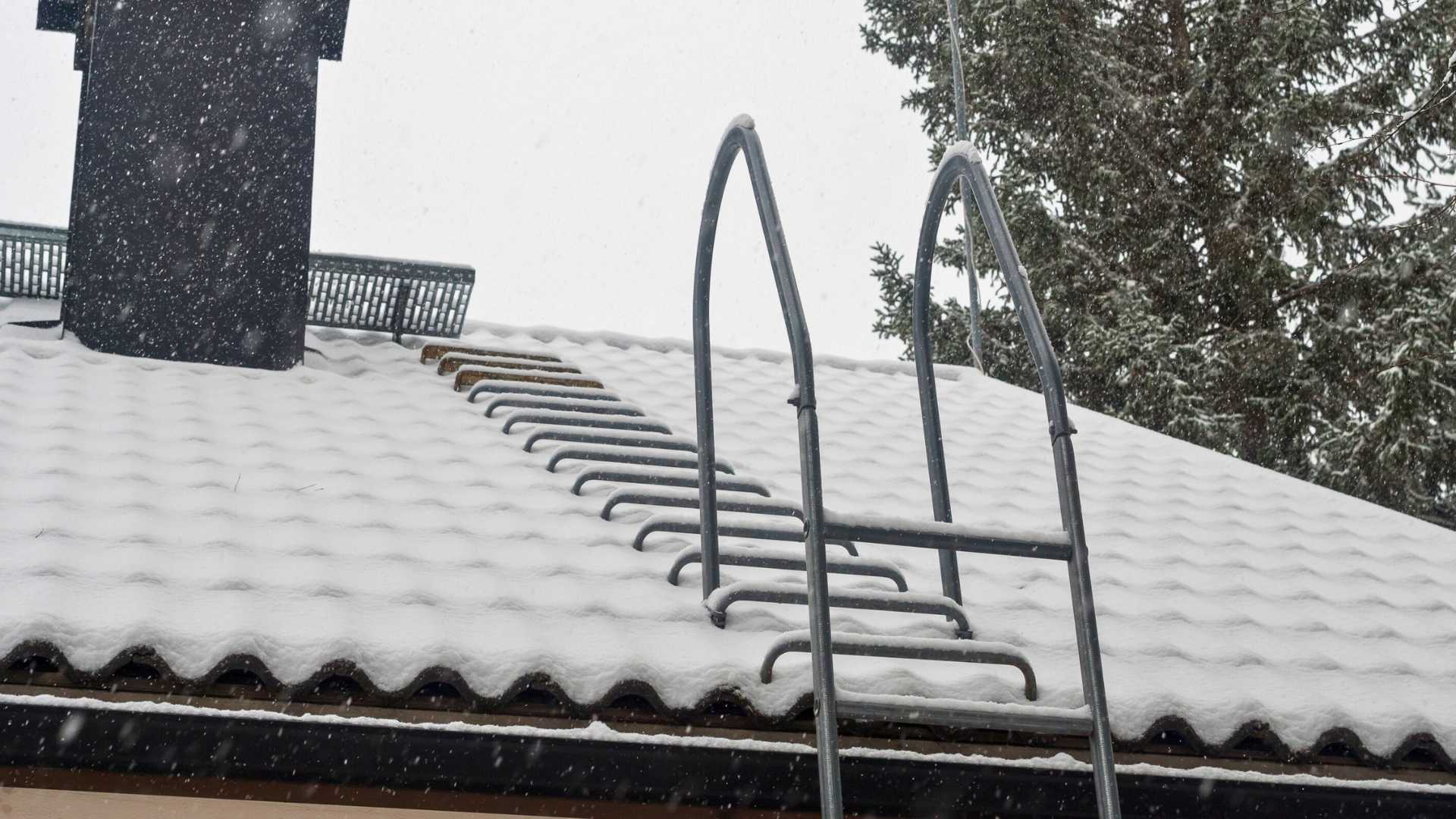 A metal ladder is fixed to a snow-covered roof, with a chimney and trees visible in the background during snowfall.